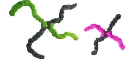Cycle Dog Fuzzies Springy Thing