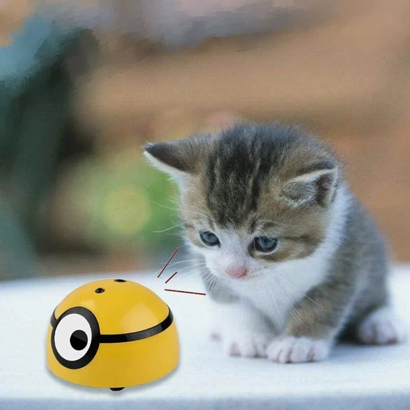 Pet Toys